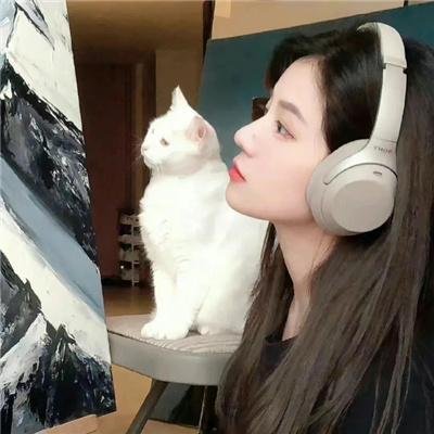 手纸 封面